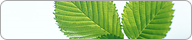 eco（環境社会）